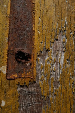 Oud hout 04