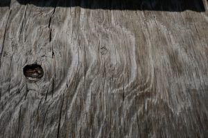 Oud hout 05