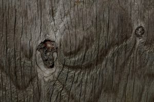 Oud hout 06