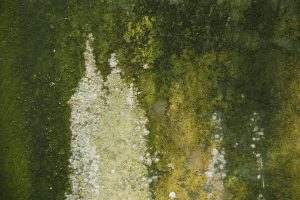 Mestsilo 04