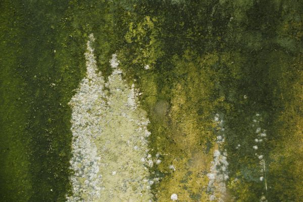 Mestsilo 04