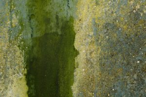 Mestsilo 05