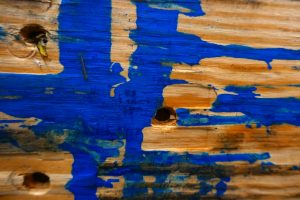 Pallet 21