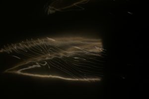 Plastic 06