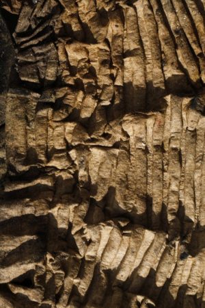 Papier 10